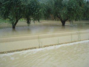 Alluvione maltempo abruzzo pineto